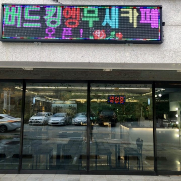 버드킹 앵무새카페