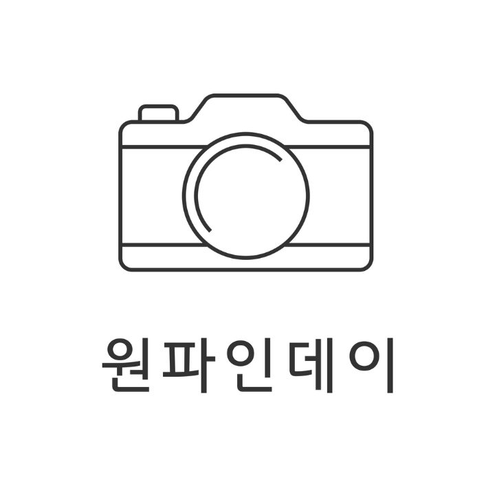 원파인데이