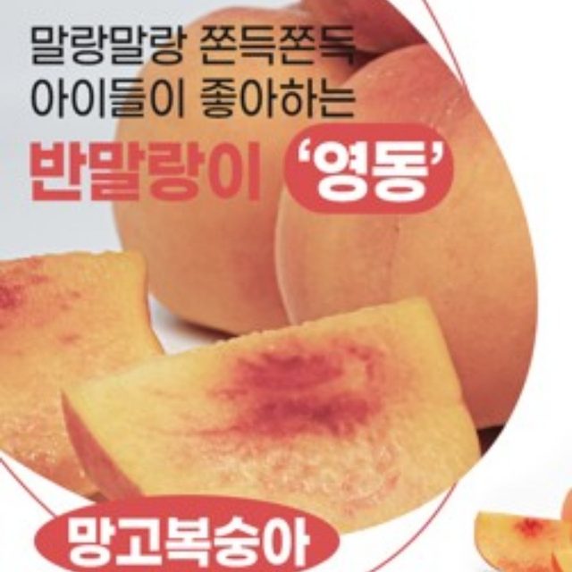 코리안플레이어