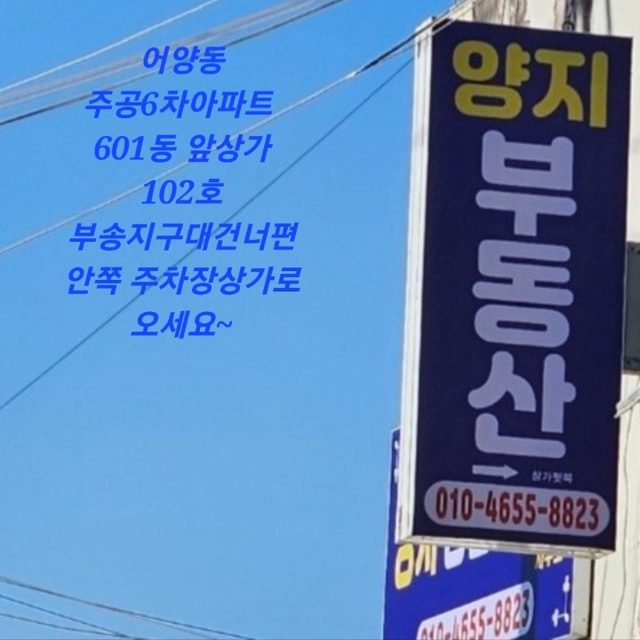 양지공인중개사사무소  의 프로필 사진