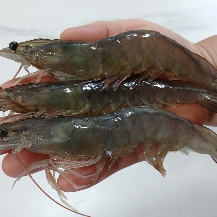 재영수산