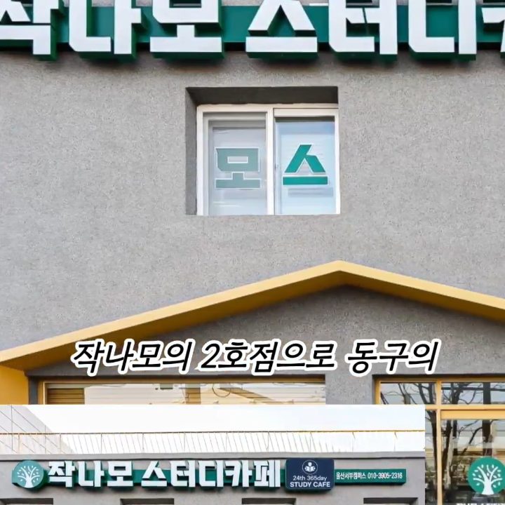 디자인월영