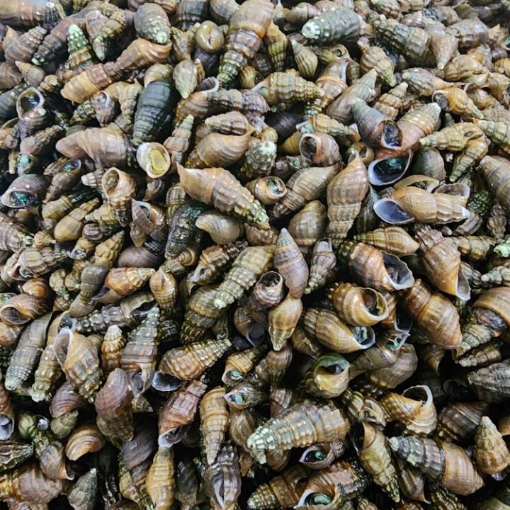 청정식품