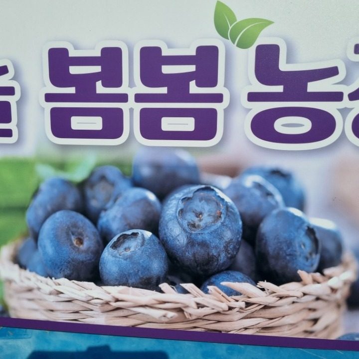 늘봄봄농장