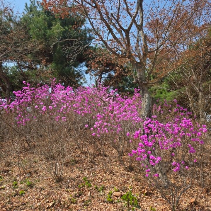 개인화물 용달