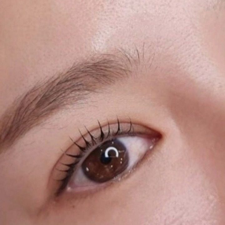 리즈브로우 Lee's brow