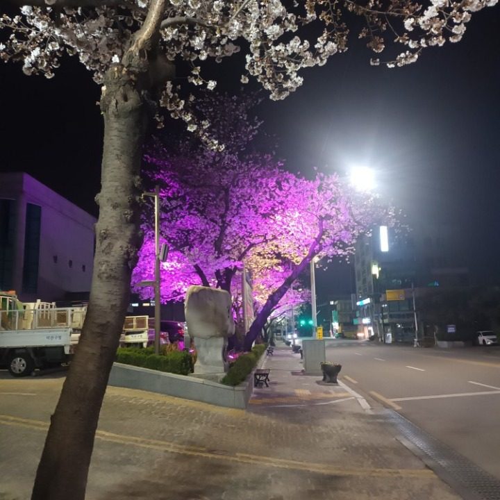 감동마케터