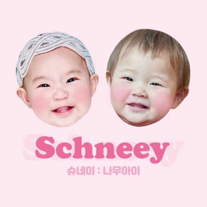 슈네이