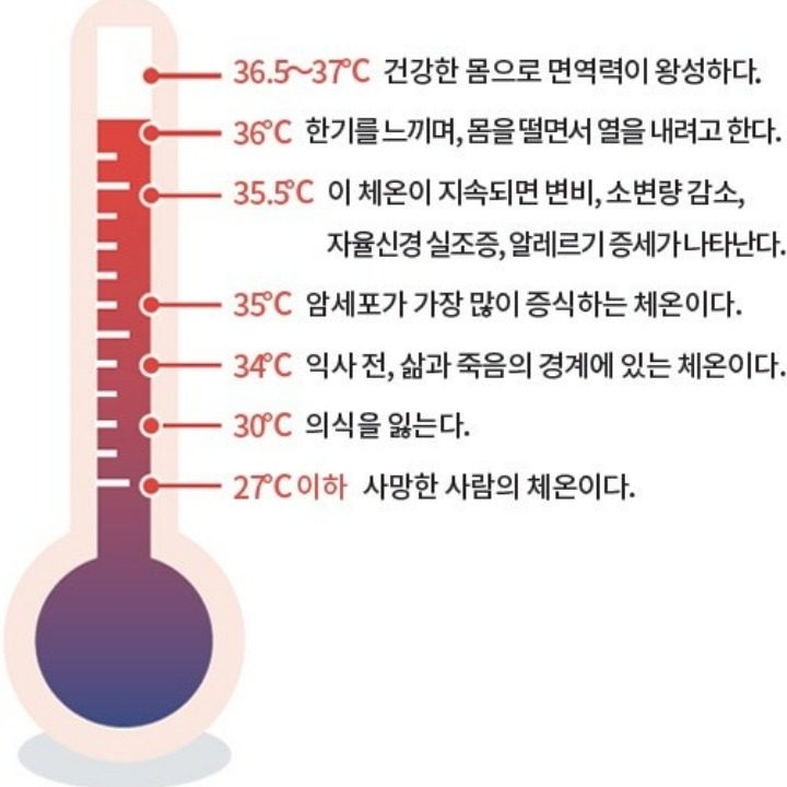 건강뷰티찜질