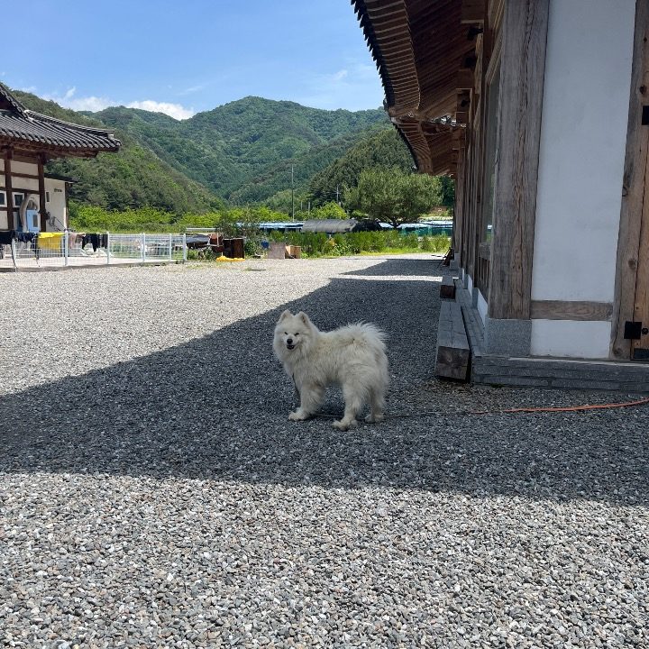 목동미용실