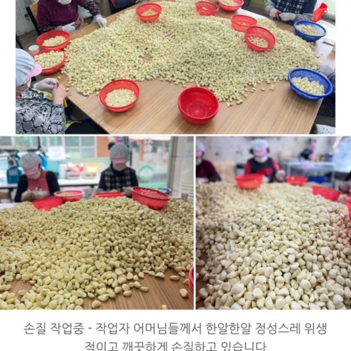 산지유통 마늘나라