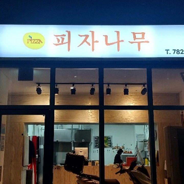 피자나무