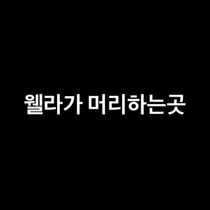 웰라가 머리하는곳