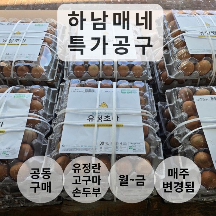 하남매네 특가공구