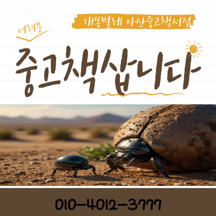 개똥벌레 중고서점