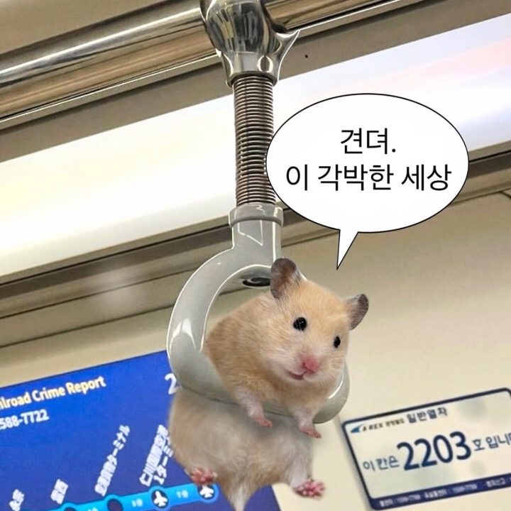 에리얼빙수