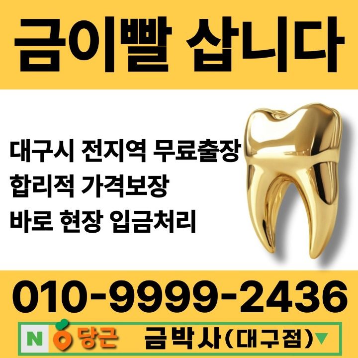 금박사&HLT