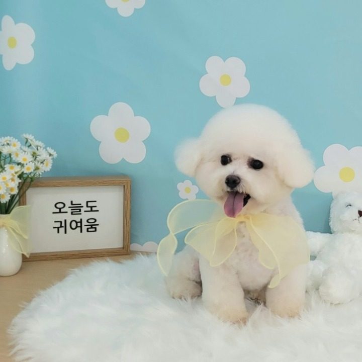 몽글몽글