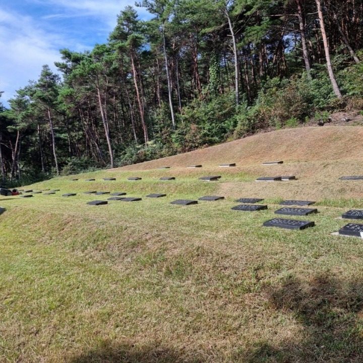 벌초대행