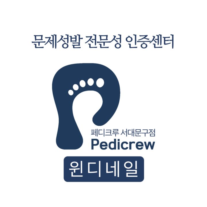 윈디네일