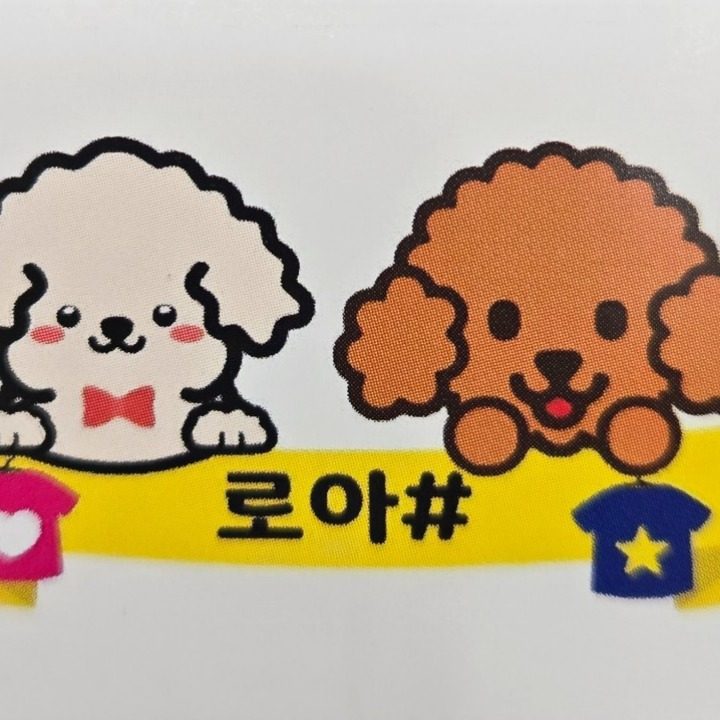 배곧애견의류샵