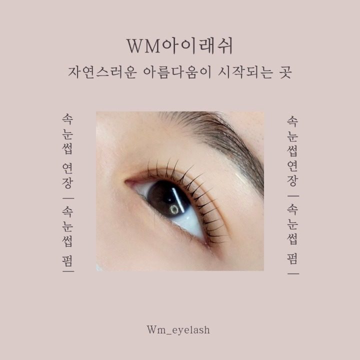 Wm아이래쉬