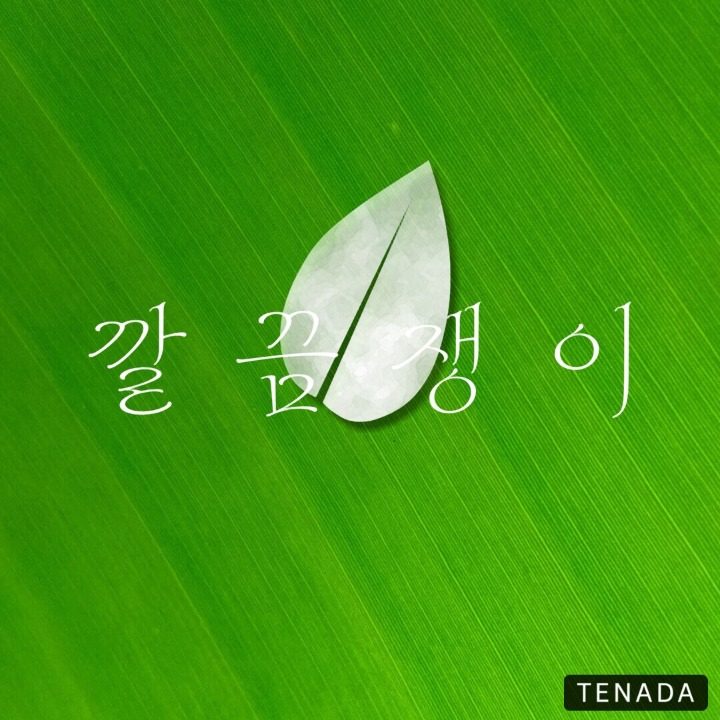 깔끔쟁이