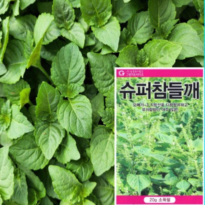 올바름
