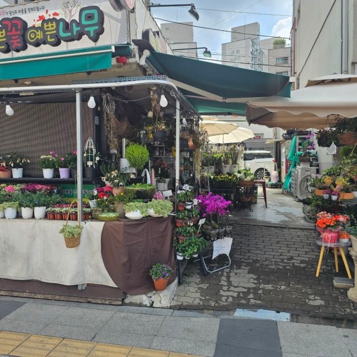 예쁜꽃 예쁜나무