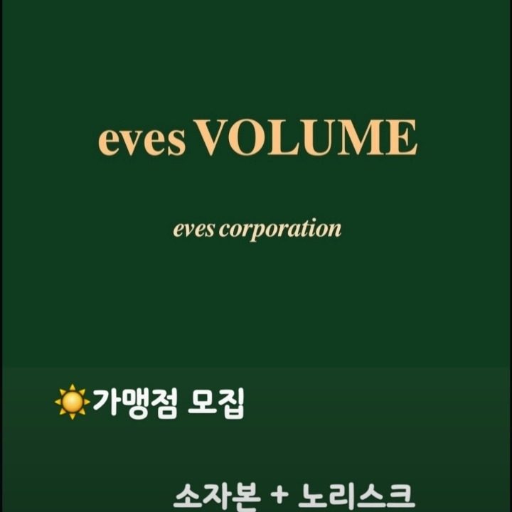 총괄이사
