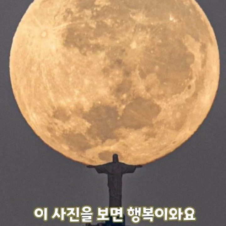 THE 베테랑