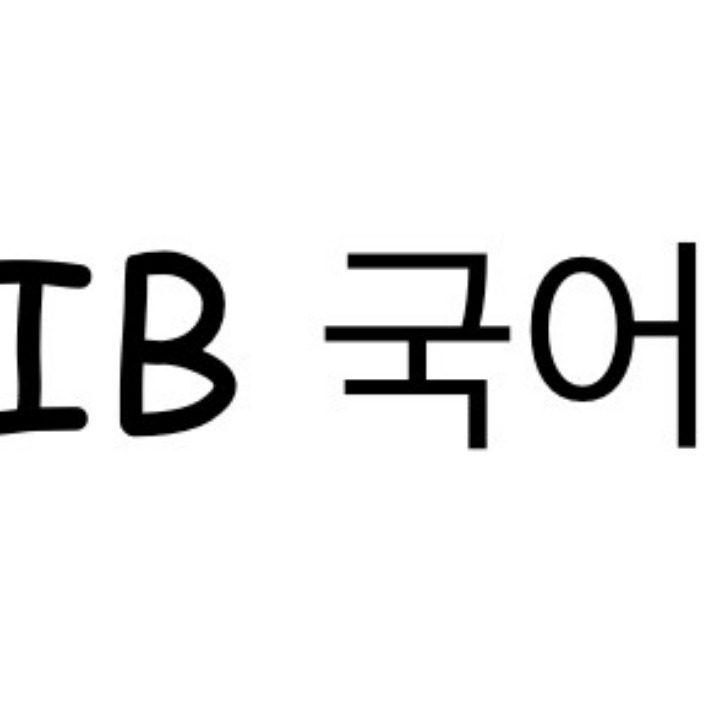 IB 국어 과외