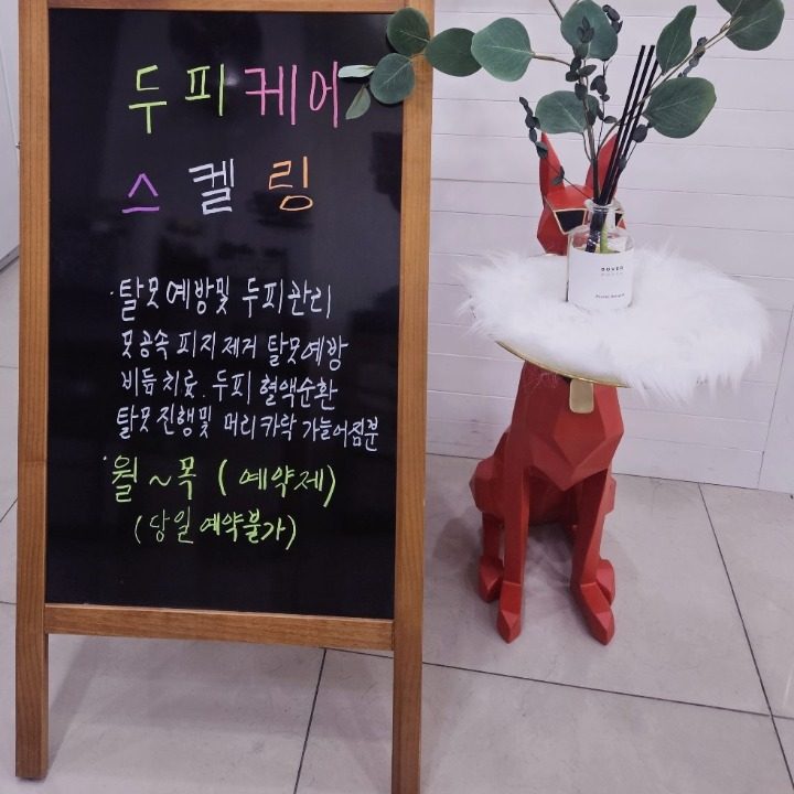 은뷰티두피관리