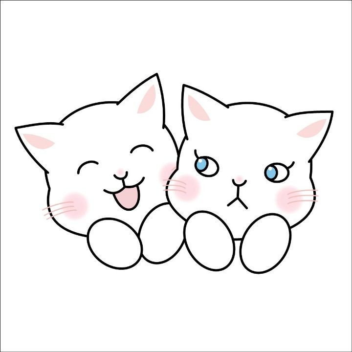 힐링캣츠