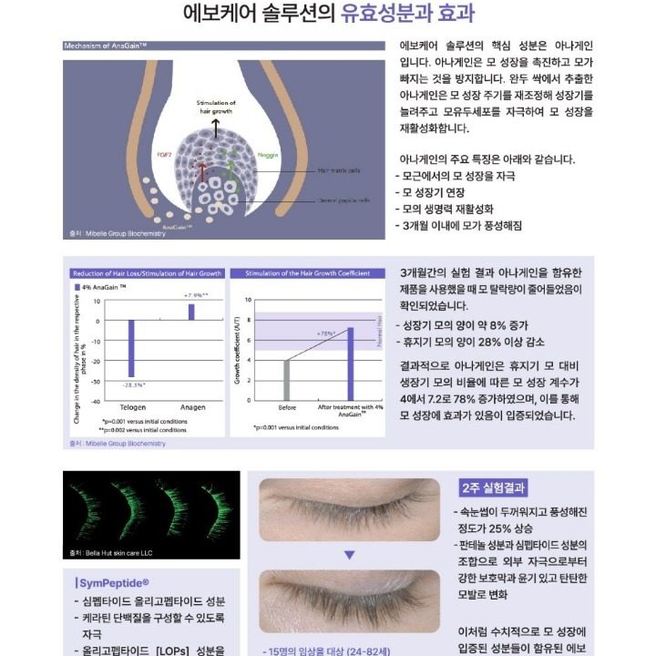 속눈썹생장술