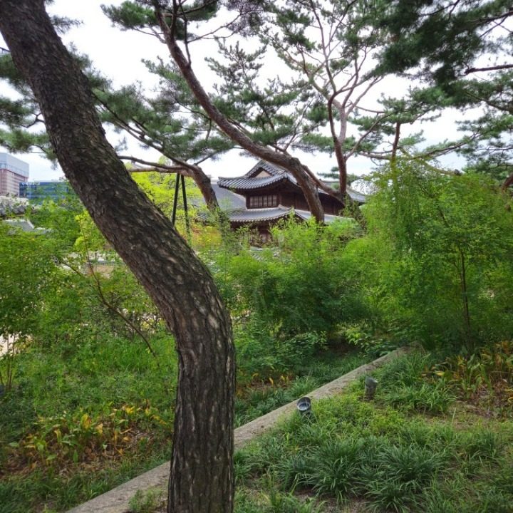 수능수학전문가