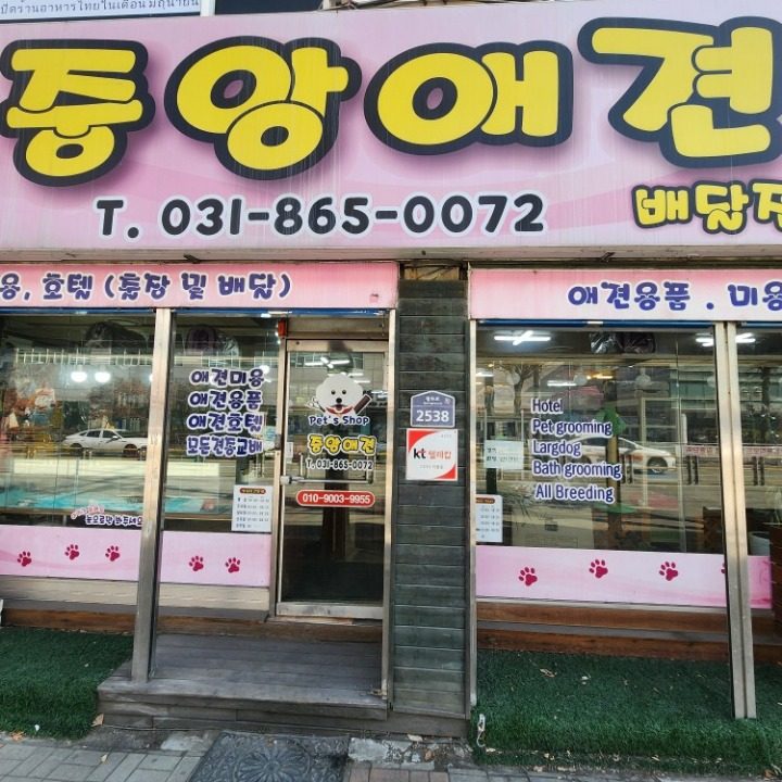 중앙애견