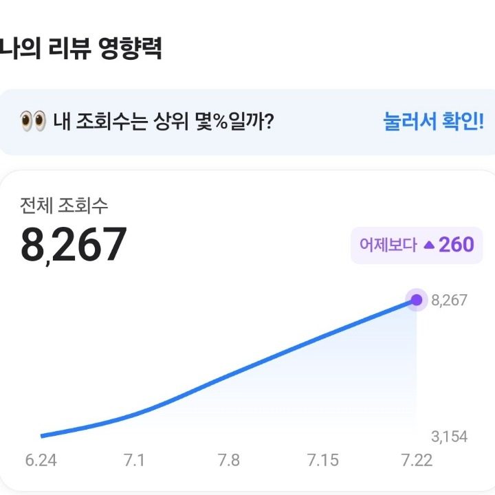 큰 손 리뷰어
