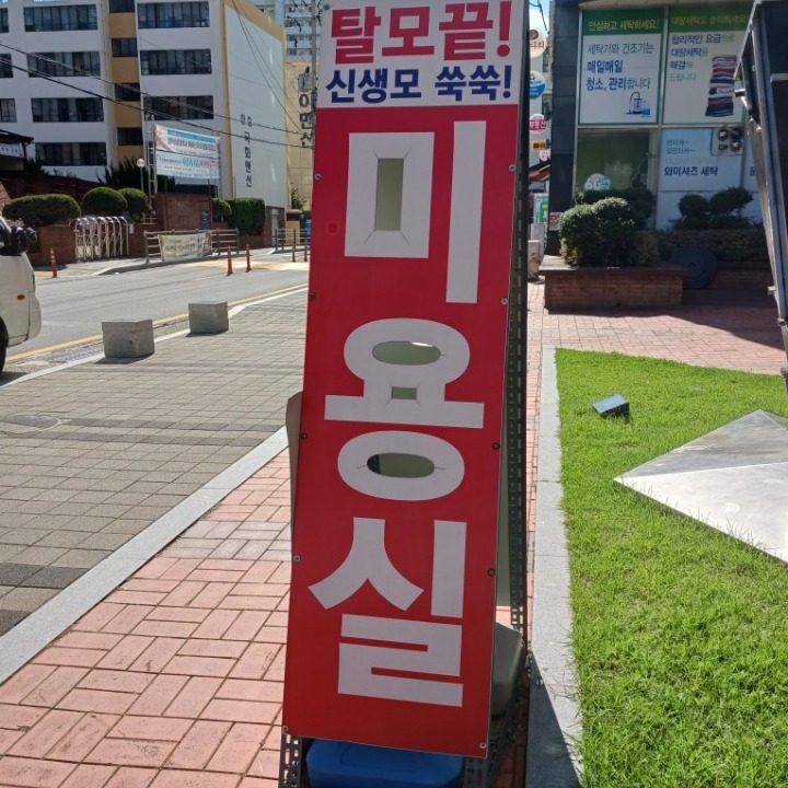 엘리제을위하여