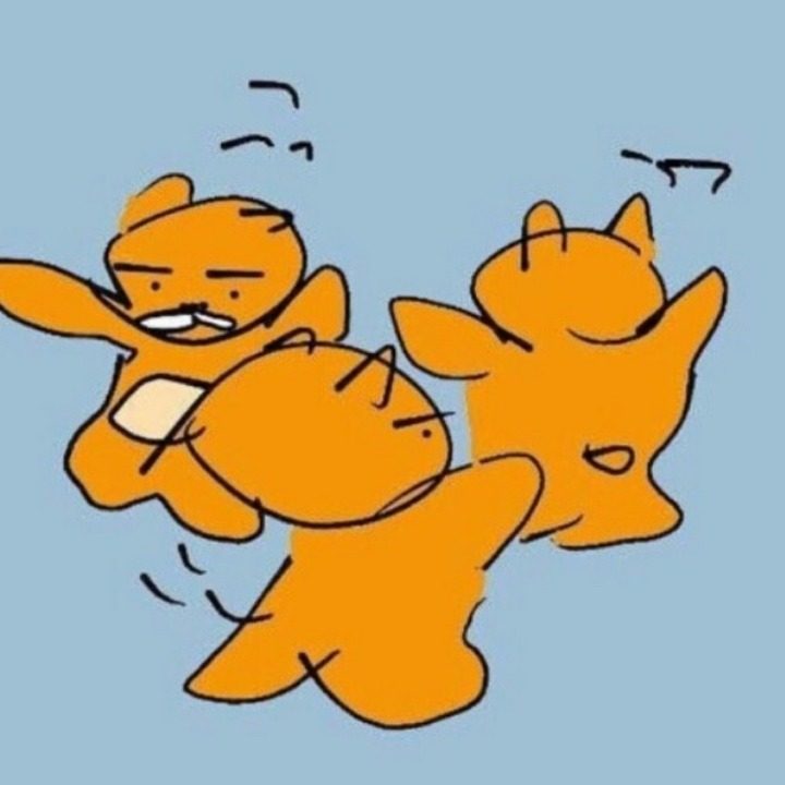 보험물어보살