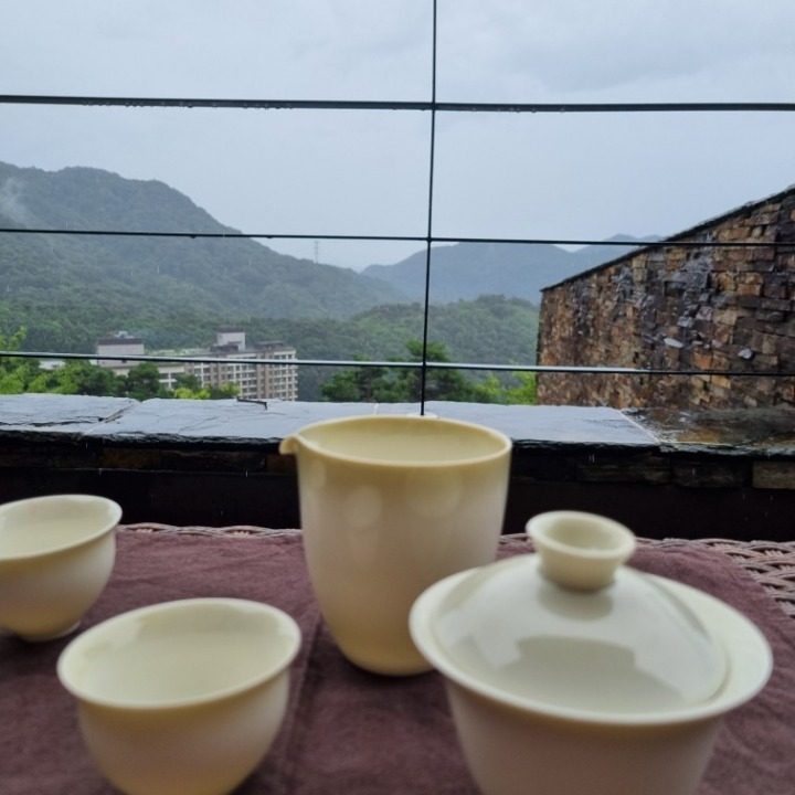 즐거운찻잎