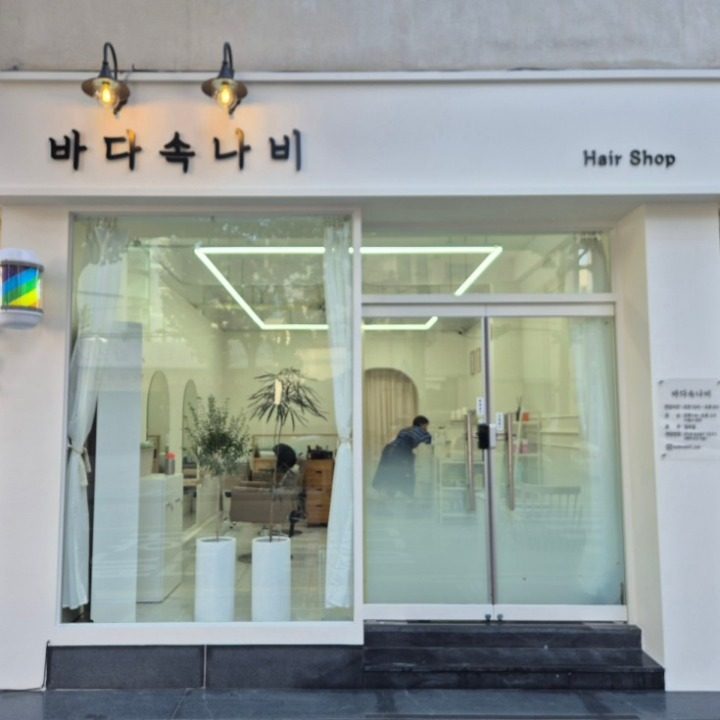 바다속나비