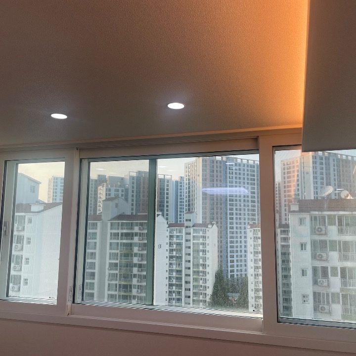 백의민족