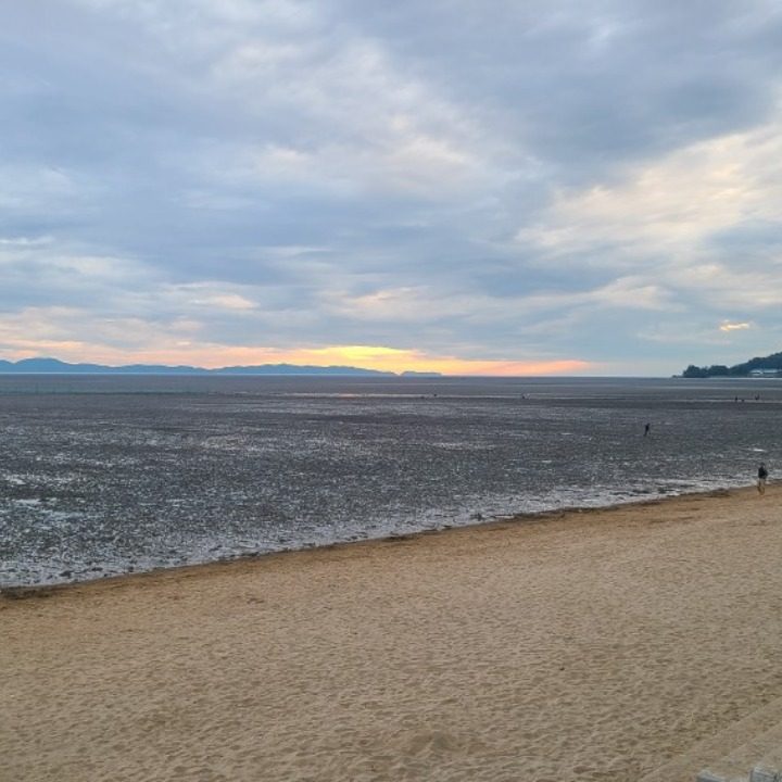 당근더마켓