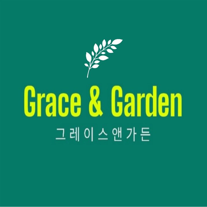 Grace&Garden그레이스앤가든