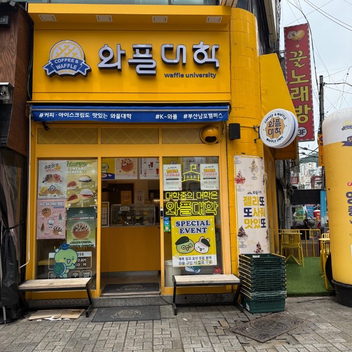 와플대학남포캠퍼스