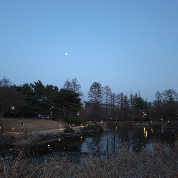 사과배포도딸기