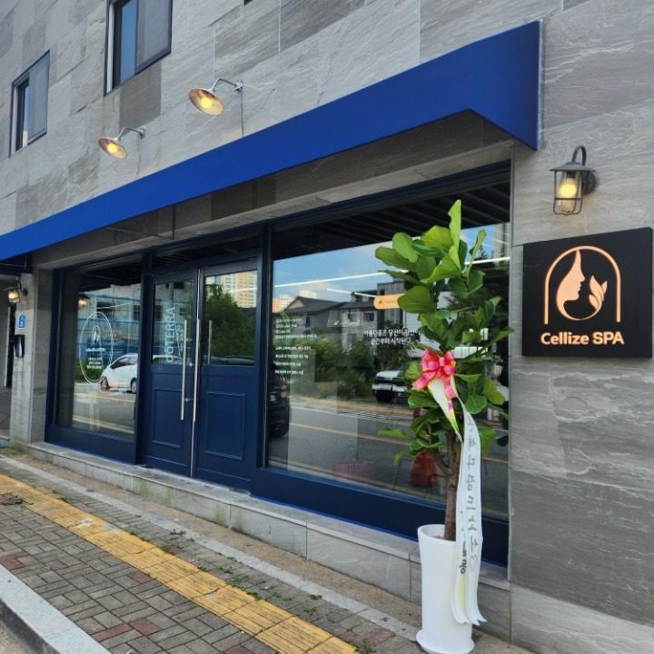 원주피부관리스파