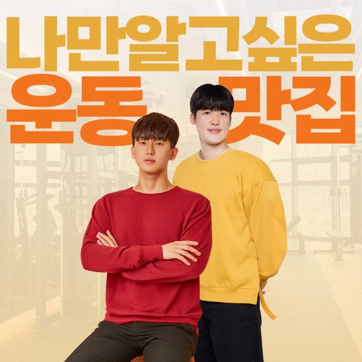 엘핏