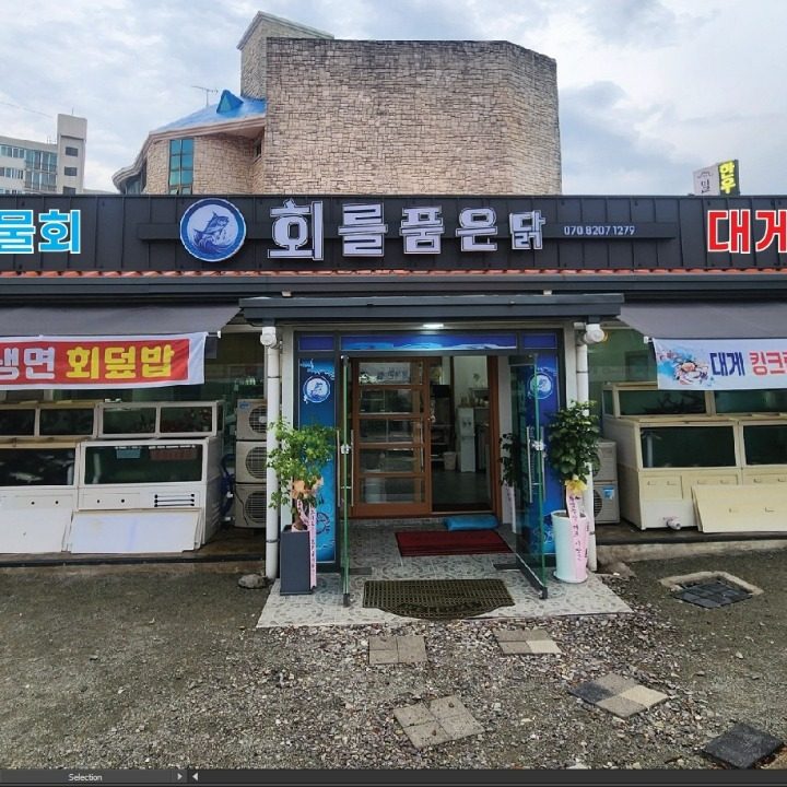 회를품은닭